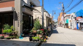 鎌倉 御成通り：Kamakura Onari Street