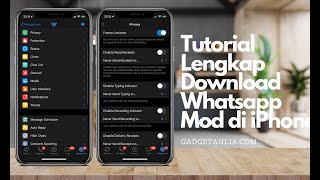 Tutorial Lengkap Download Whatsapp Mod di iPhone