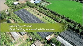 สารคดีการเกษตร ปี 2562 / EP. 2