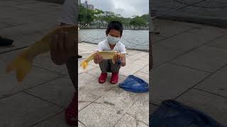 以為又是垃圾魚 結果是錦鯉 弟弟很開心｜大湖公園釣魚