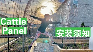 [ENG SUB] Cattle panel installaton DIY安装三个必须知道的重点Three Things You Must Know about Cattel Paneli