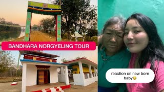 Bandhara shichak camp 1 Tour|| Cat gave birth to 3 kittens🐈‍⬛😮|| Tibetan vlogger #youtube #vlog