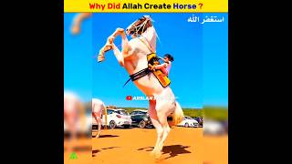 Why did Allah Create The Horse | Arslan Speaks #shorts #shortsfeed