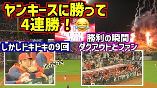 4連勝‼️エンゼルスがヤンキースに勝った😂しかしドキドキの9回 勝利の瞬間ダグアウトとファン【現地映像】8/29vsヤンキース ShoheiOhtani Angels