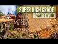 Super High Grade Quality wood |