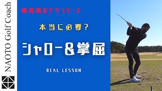 シャロースイング＆掌屈って本当に必要ですか？球を捕まえる為に？