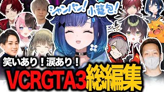 【VCRGTA3】笑いあり！涙あり！？11日間の総まとめ【紡木こかげ/ぶいすぽっ！】