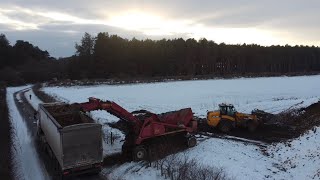 Loading sugar beet with JCB loader / snow and mud