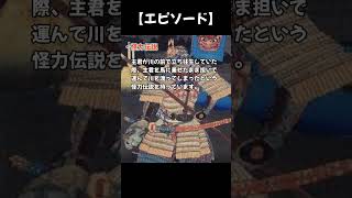 【信長の野望大志】怪力すぎた伝説の男【戦国武将あてクイズ！上級編・その9】