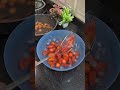 how to store carrot 🥕 for 5 6 months shortsviral shorts shortsfeed yt