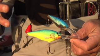 Rapala Risto Rap crankbait for trophy fall Smallmouth Bass, Lake Simcoe, ON.