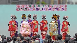 江戸吉原おいらん道中 2018 Edo Yoshiwara Oiran-dochu Procession