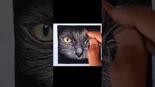 Realistic cat sketch | #subscribe #shorts #catlover