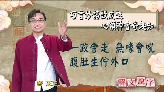 【解文說字】巧言妙語設成謎 心領神會奇趣知