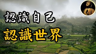 【佛法無邊】認識自己，認識世界