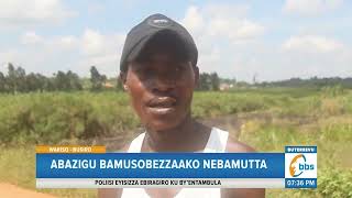 Omuwala Attiddwa mu Ntiisa e Wakiso, Abazigu Bamusobezzaako Nebamutta