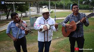 Trío Paseador Huasteco y Esencia Huasteca  - El Querreque