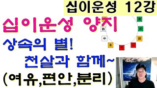 십이운성 12강_십이운성 양지(養支) 상속의 별!! 천살과 함께 해석(키워드 :양육, 의존성, 여유, 편안, 분리, 묘지와 패키지)