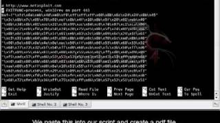Client Side Exploit for Adobe 9.3 Vulnerability