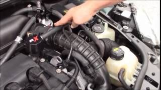 Mini Cooper N14 RX Catch Can Overview