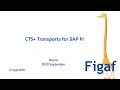 Figaf CTS+ for SAP PI/PO