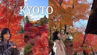 진짜 교토 단풍여행🍁(+단풍만큼 가득한 맛집, 느좋카페들) KYOTO VLOG 1