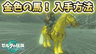 激レア馬！ゼルダ姫の金色の馬入手方法【ティアキン】【ゆっくり解説】