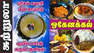 Hogenakkal Tourist Place I Waterfalls I Fish Fry I Oil Massage I Parisal safari