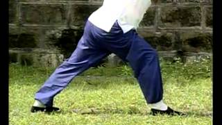 Shaolin Lian Bu Quan