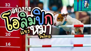 อุ๋งๆแข่งกีฬาสี(หมา)ครั้งแรก (เจอพี่ยอร์ช Gluta story) | Dog agility ที่งาน Pet expo Thailand 2020