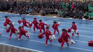 (15)2016年馬高運動會-明穗幼兒園表演