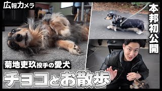 菊地吏玖投手の原点を探す旅に出発！愛犬チョコ編【広報カメラ】