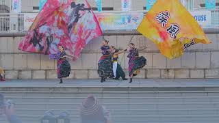 疾風乱舞(ハマこい2021・パシフィコ横浜・[ハマこい部門　優秀賞])