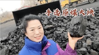 當地煤場人工選的原煤大塊，6000卡的大煤塊現在多少錢！| 春望田園