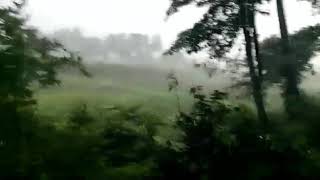 Rain in Aravamatrapalli,  near tirupattur vellore district at present