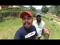 വട്ടവടയിലെ സ്ട്രോബറി പാടങ്ങൾ strawberry fields farm tourism vattavada munnar kerala ep_04