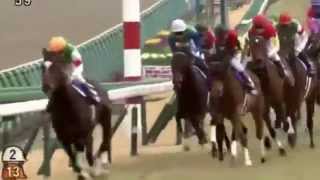 【競馬 名勝負】有馬記念2014 ジェンティルドンナ 力強い走り！！