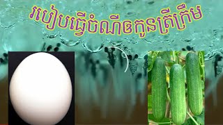 របៀបធ្វើចំណីឲកូនត្រីក្រឹមសុី ចង់ដឹងចូលមើល🤔|How to cook cream fish