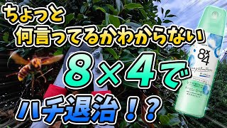 【スズメバチ】サンドウィッチマンの名コント「蜂の巣駆除」を徹底検証！８×４でスズメバチ退治できるかな⁈【終末殺蜂家】