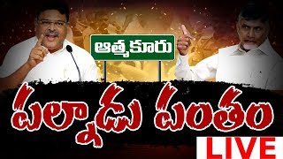 LIVE: పల్నాడు పంతం | Political War TDP vs YSRCP || Chalo Palandu Rally