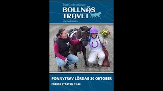 Bollnästravet  211030 Lopp 5