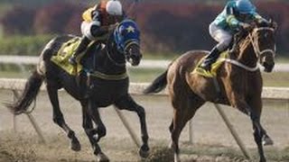 BAMBERA VS HARRIMAN - Clásico Cría Nacional 2009