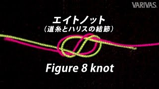 エイトノット【糸と糸を結ぶ】～Figure 8 knot～【VARIVASノット大図鑑】