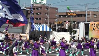 魁　sakigakeさん＠2010　YOSAKOIかまがや