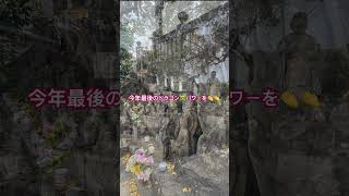 ①茂木のパワースポット「潮見崎十一面観音」のドラゴン🐲パワーを👏👏　#長崎市 ＃茂木町 ＃パワースポット #潮見崎十一面観音 #shorts