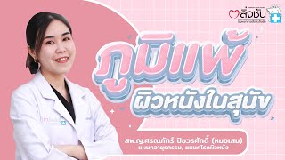 โรคภูมิแพ้ผิวหนังในสุนัข