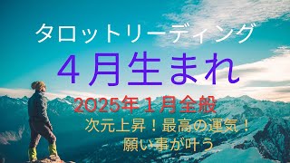 2025年１月全般🌕４月生まれの方のタロットリーディング🔮次元上昇☝️仕事も人間関係も最高の運気🌈