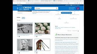 Research in Credo Reference