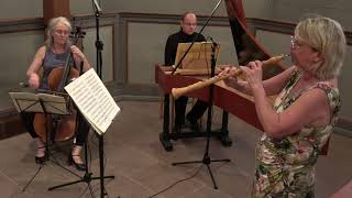 Telemann chamber music project - Partita Nr. 3 c Moll (Vivace/Presto)