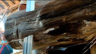 Ketajaman gergaji kayu jati teresan kering di sawmill bahan joglo soimah || woodworking